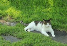 Co wpływa na atrakcyjność nieruchomości?