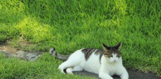 Co wpływa na atrakcyjność nieruchomości?