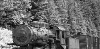 Czy badanie CCP jest refundowane przez NFZ?