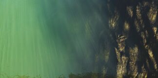 Co to jest poziom B2 angielski?