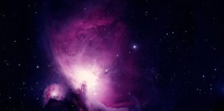 Na czym polega nauka w Tutlo?