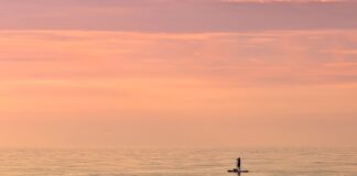 Jak zrobić dwie linie trendu na jednym wykresie?