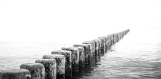 Jaką wartość wpisać w SD z2?