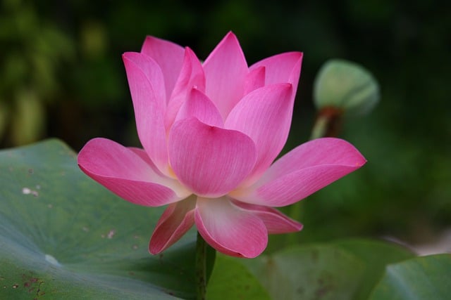 Czy mogę zająć chwilę po angielsku? Czy mogę zająć chwilę po angielsku?