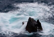 Co to jest cena rynkowa?