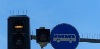 Jakie są preferencje konsumenta?