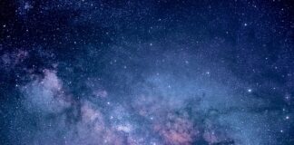 Jak się robi badanie rynku?