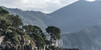 Ile kosztuje stworzenie własnej linii kosmetycznej?