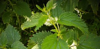 Jakie badania robi się na reumatyzm?