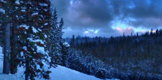 Co daje licencjat z filologii angielskiej?