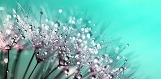 Co to są makro składniki?