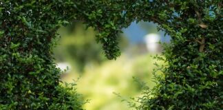 Od czego zależy kształt krzywej obojętności?