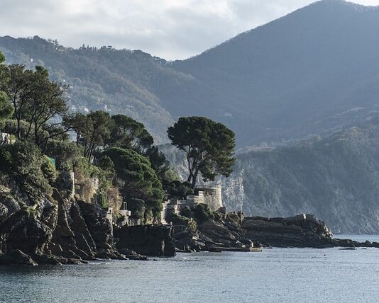 Ile kosztuje miesiąc Duolingo?