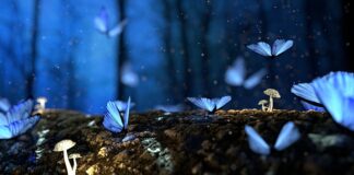 Jak obliczyć strukturę przychodów?