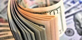 Jak się liczy dynamikę wzrostu?