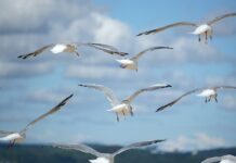 Co można zrobić aby rozwinąć swoje naturalne predyspozycje i realizować życiowe plany?