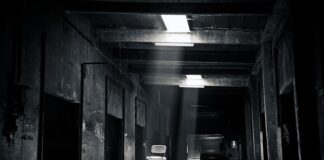 Co to jest chora wyobraźnia?