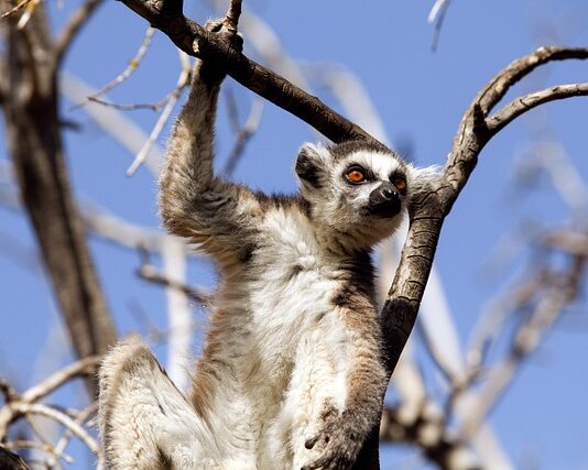 Jakie czynniki wpływają na zachowania konsumentów? Jakie czynniki wpływają na zachowania konsumentów?