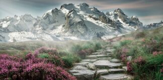 Co to jest turystyka handlowa?