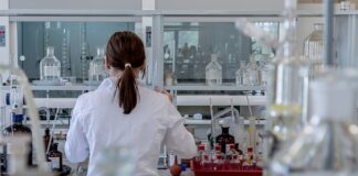 Na czym polega test predyspozycji językowych?