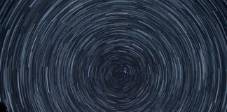 Czym różni się obrót od przychodu?