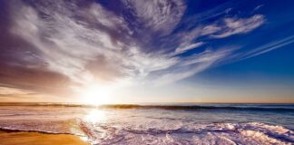 Co to jest linia trendu w Excelu?