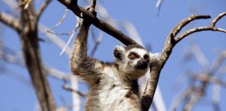 Dlaczego warto badać zachowania klientów w sklepie?