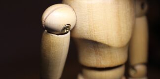 Jakie proporcje białka węglowodanów i tłuszczy?