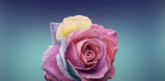 Czym się różni wartość godziwa od rynkowej?