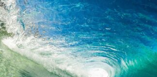 Czy dynamika może być ujemna?