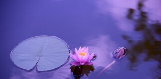 Czy medytacja to modlitwa?