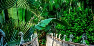 Ile kosztuje kurs na Tutlo?