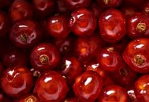 Jak można najlepiej wykorzystywać trafne decyzje? Jak można najlepiej wykorzystywać trafne decyzje?