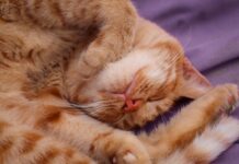 Jak nauczyć się podejmować ryzyko? Jak nauczyć się podejmować ryzyko?