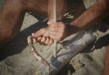 Co odpowiada za podejmowanie świadomych decyzji? Co odpowiada za podejmowanie świadomych decyzji?