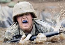 Co jest wyższe akademia czy politechnika?