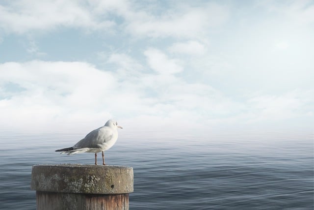 Jak uspokoić myśli w nocy? Jak uspokoić myśli w nocy?