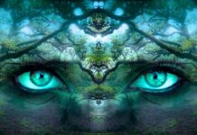 Co nam daje świadomość? Co nam daje świadomość?