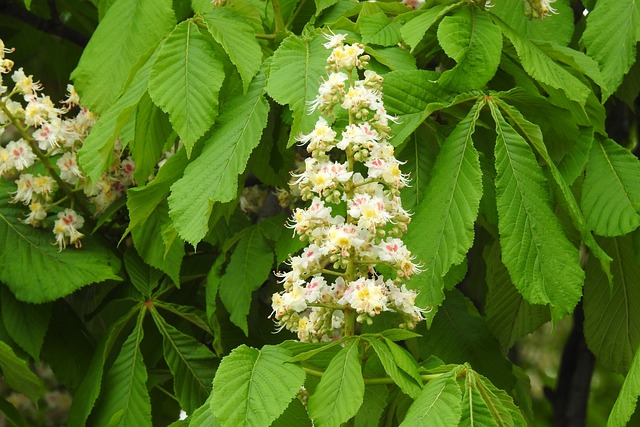 Ile procent z matury żeby dostać się na studia? Ile procent z matury żeby dostać się na studia?
