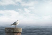 Jak uspokoić swoją głowę?