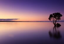 Jak odzyskać spokój psychiczny?