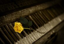 Jakie są organy w szkole?